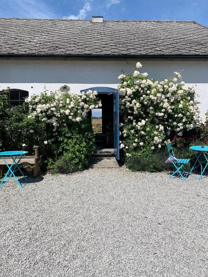 Raevakra B&B Hammenhög Exterior foto